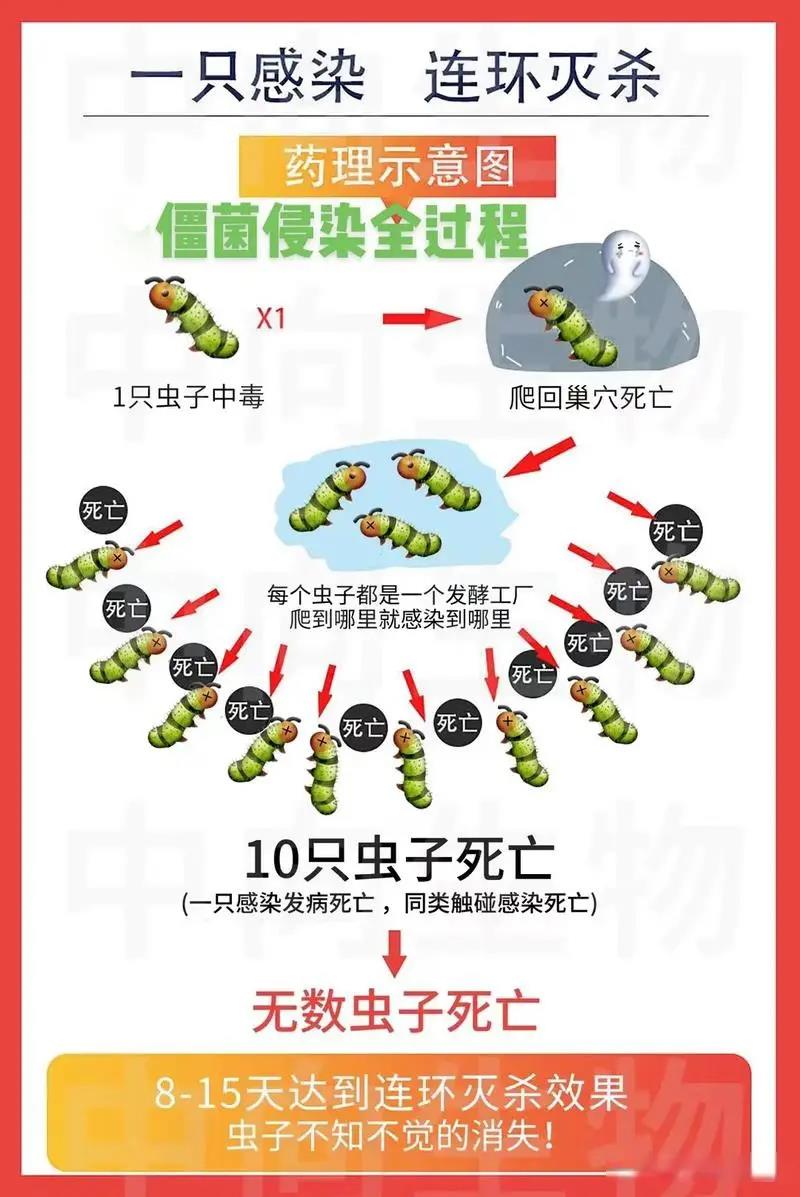 農(nóng)藥殺蟲有因果報(bào)應(yīng)嗎_農(nóng)藥殺蟲有哪些藥_殺蟲農(nóng)藥有哪些